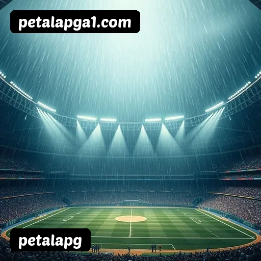 Recursos Exclusivos do App petalapg - Modo Offline, Login Biométrico